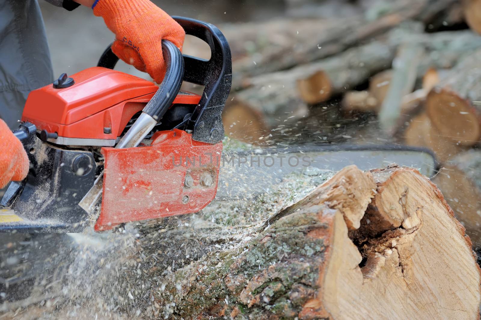 Close-up professional chainsaw blade cutting log of wood