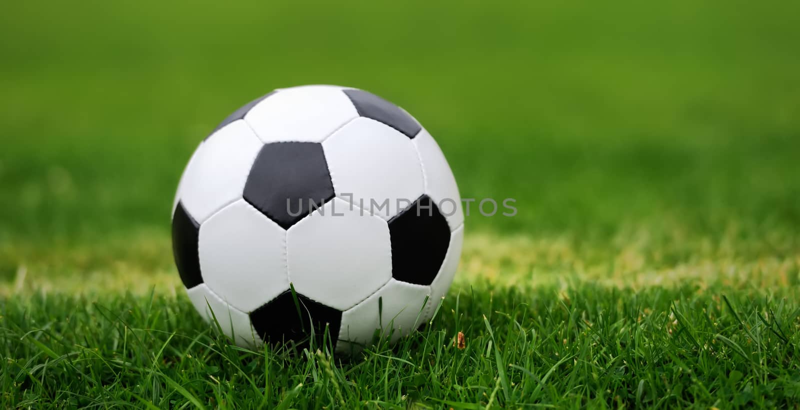 Close-up soccer ball on green grass