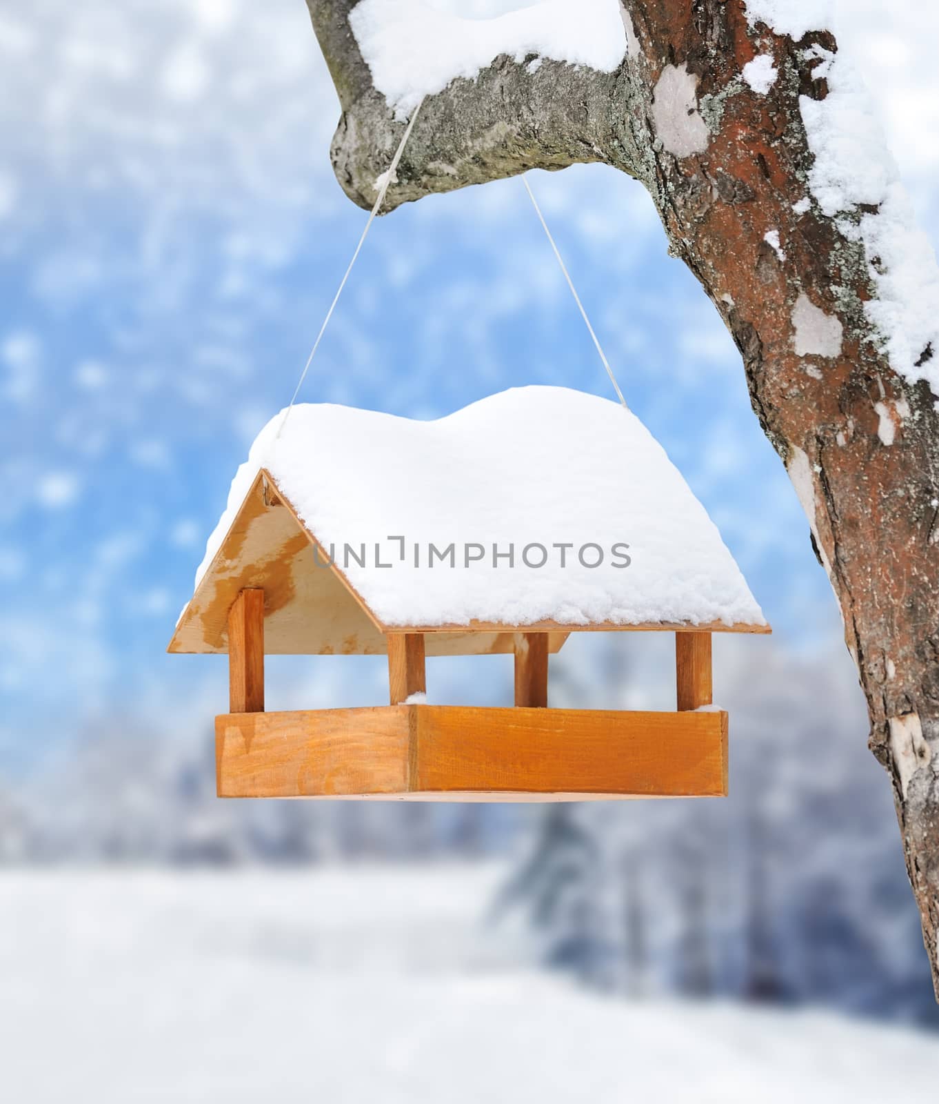 Wooden bird feeder on a tree