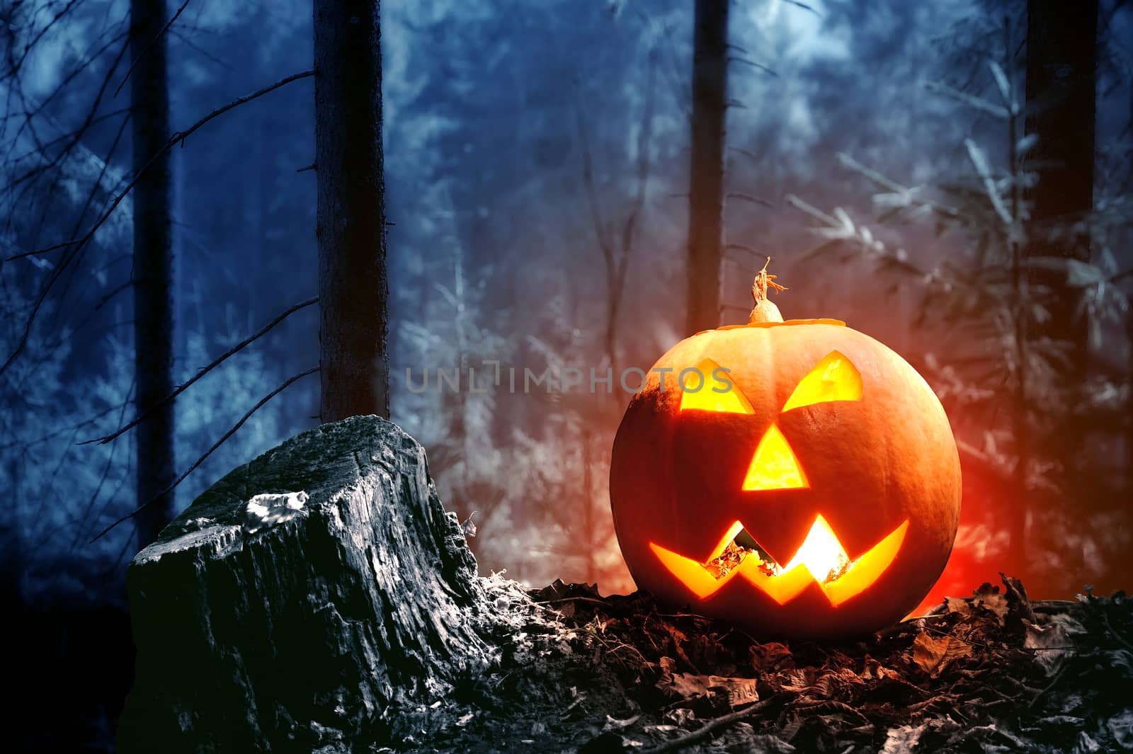 Halloween pumpkin with candle in dark forest