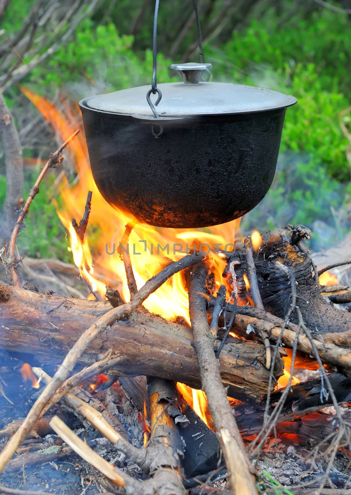 Cooking in the nature. Cauldron on fire in forest