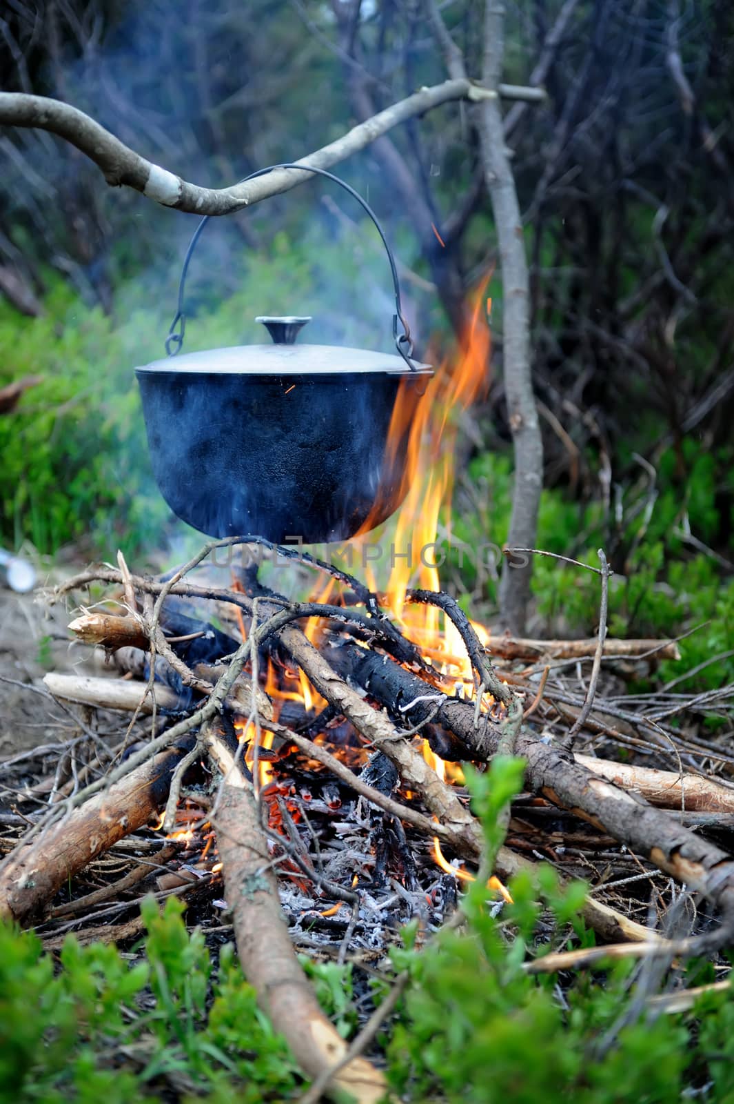 Cooking in the nature by byrdyak