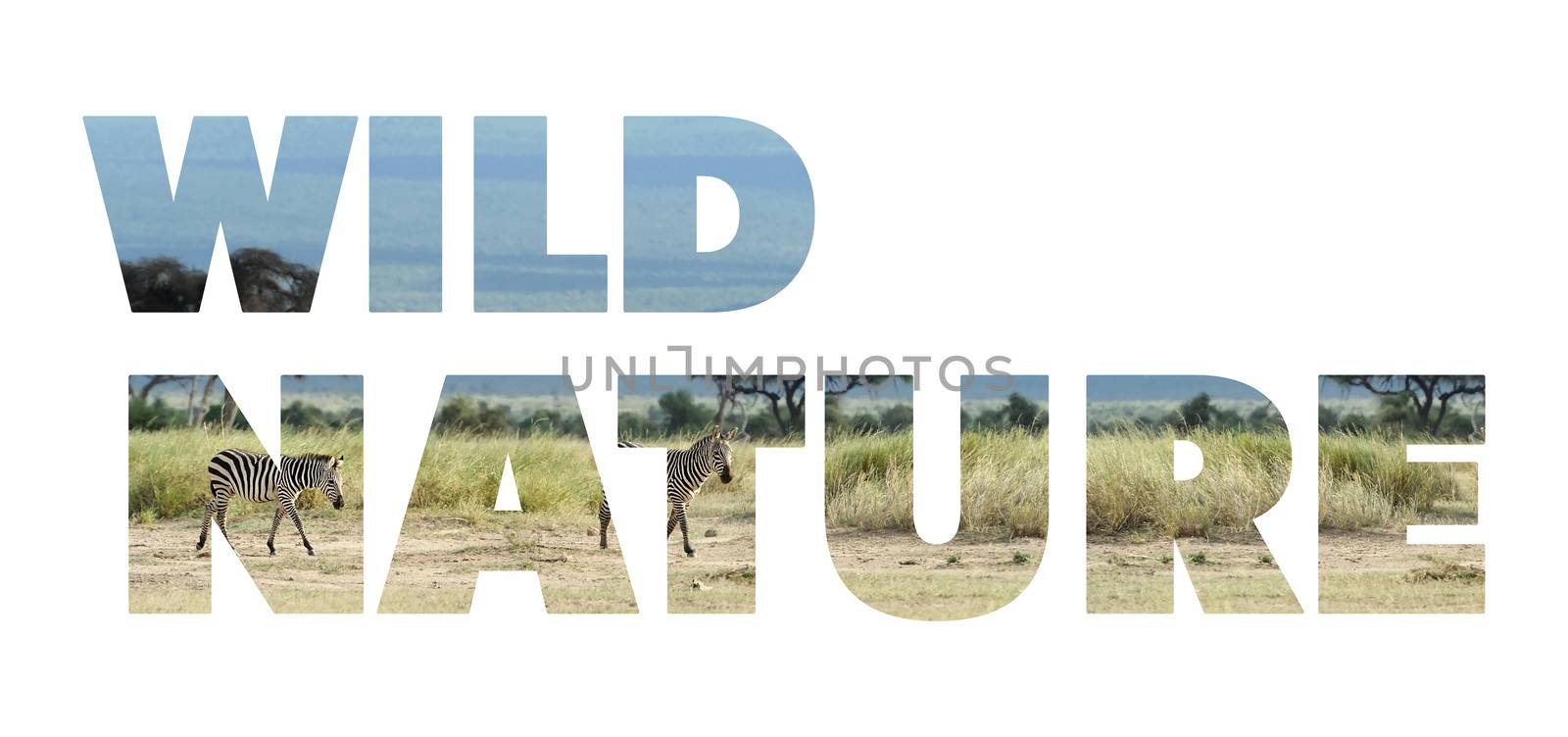 Background with word "Wild nature". Letters are made of animals