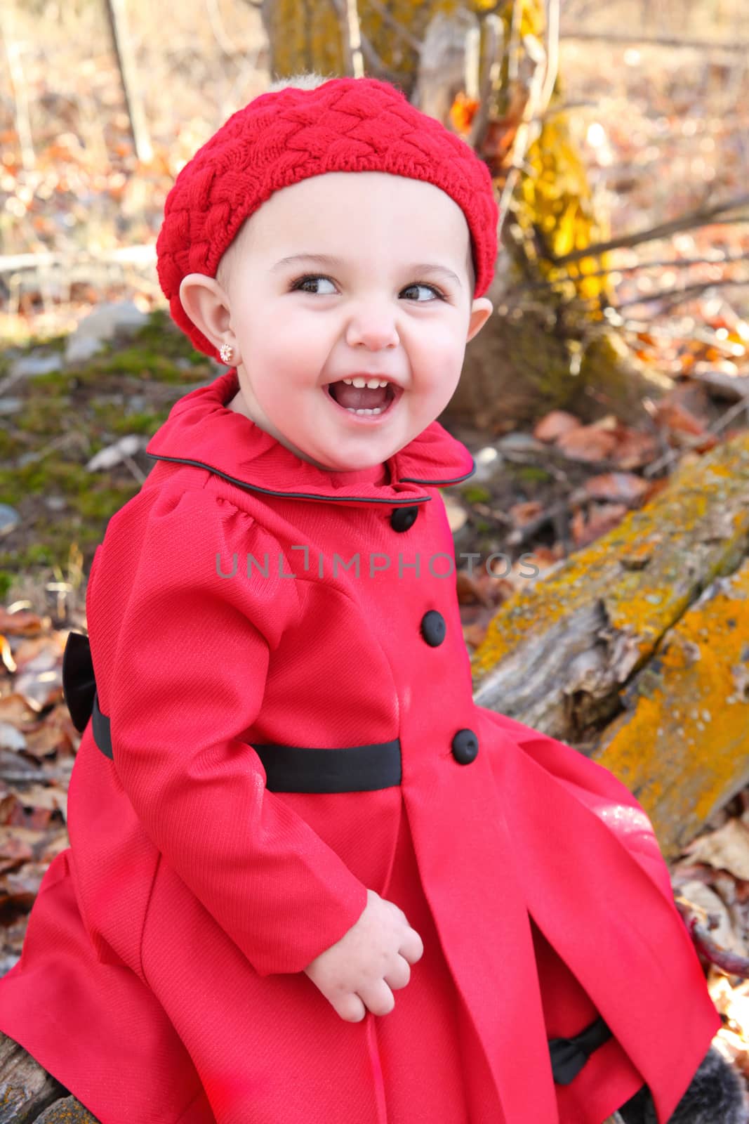 Little girl wearing a red coat and hat in the forest