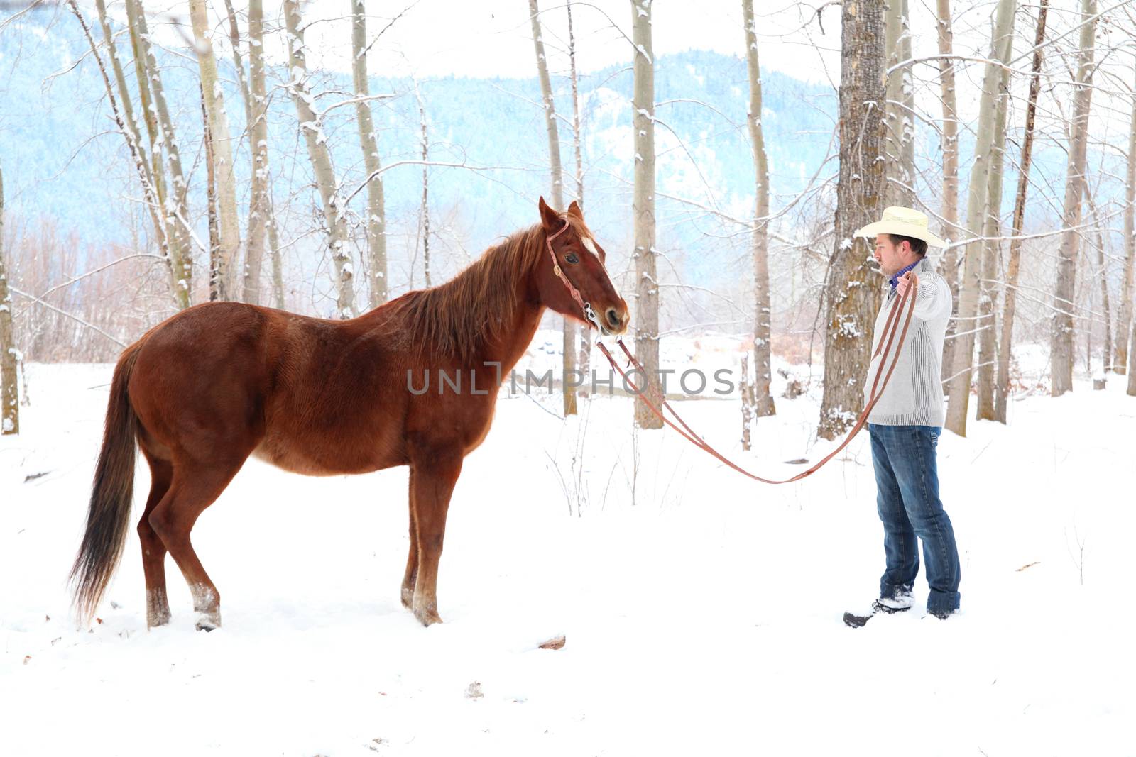 Young cowboy with his horse in a snow forest