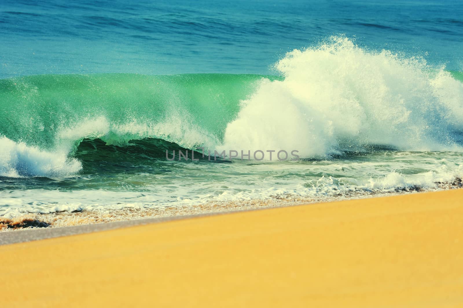 Wave of the ocean on the sand beach
