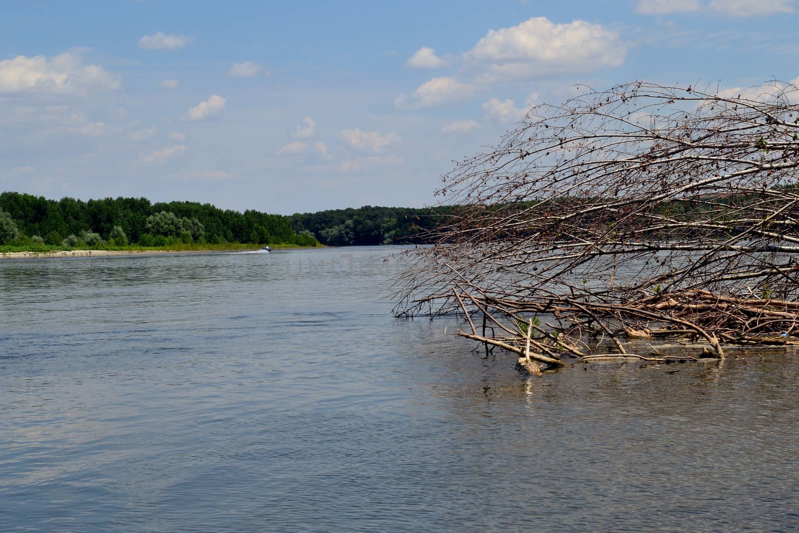 Danube, 358 km with dry trees, tall sides.
Best fishing places.