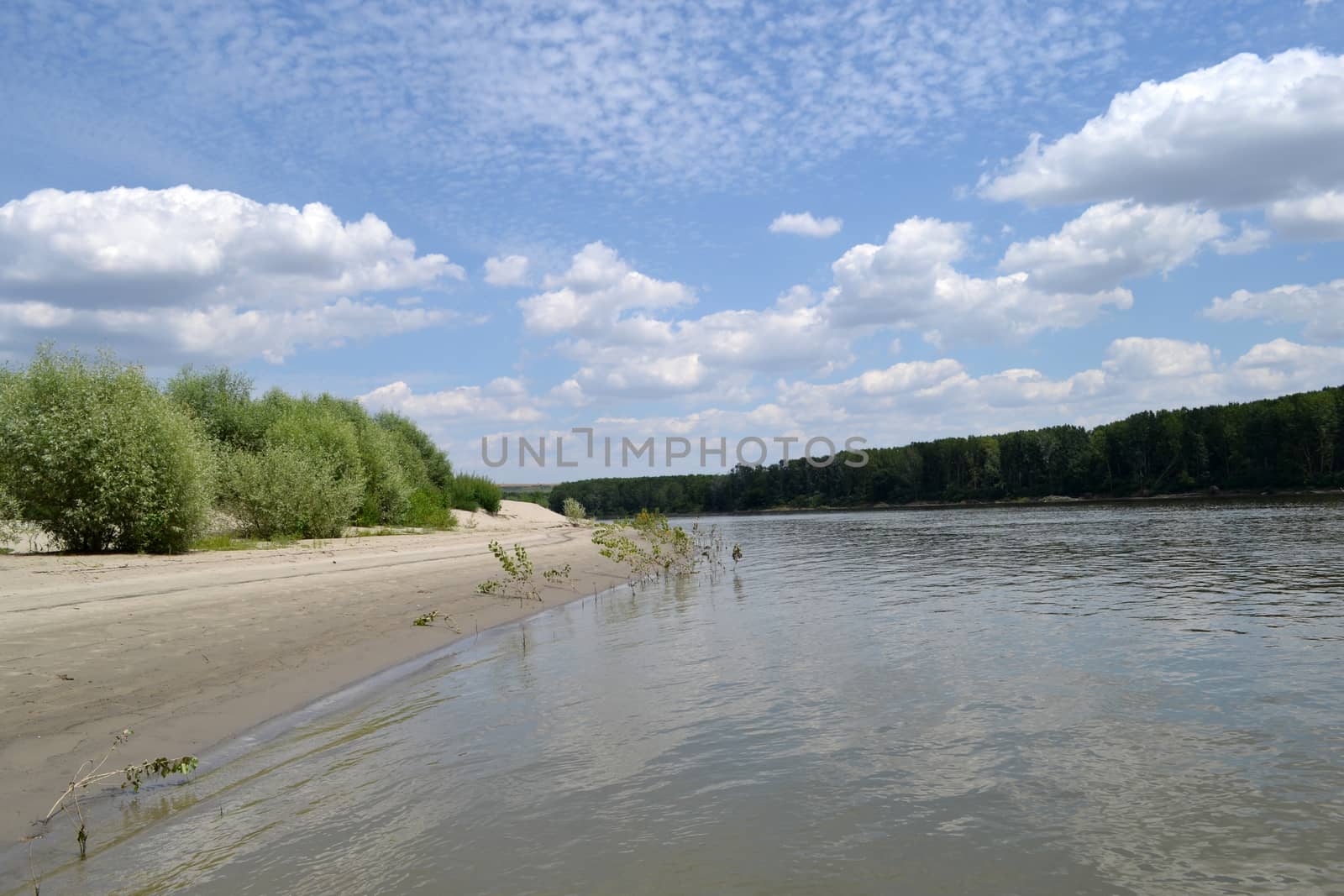 Summer hot on the Danube islands
Fishing spots, beach places, how much rest and relaxation.