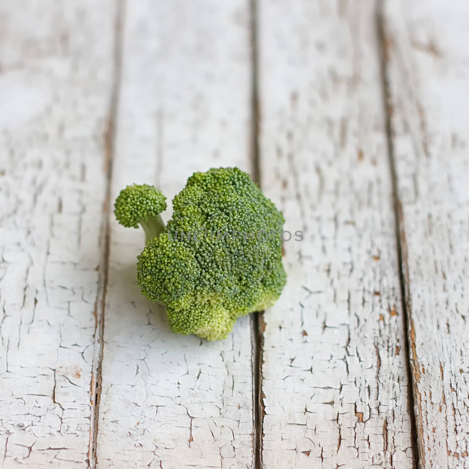 Fresh raw broccoli by victosha