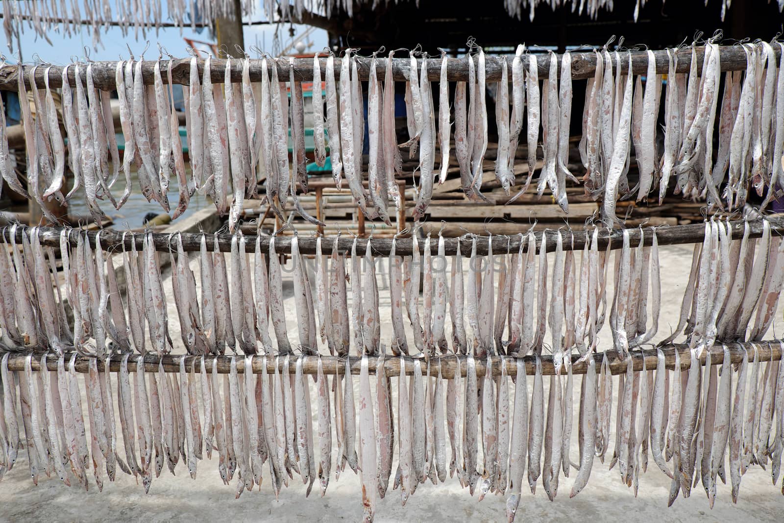 Seafood at Ca Mau fishing village, Mekong Delta, Vietnam. Dried fish is popular Vietnamese food, can store for long time