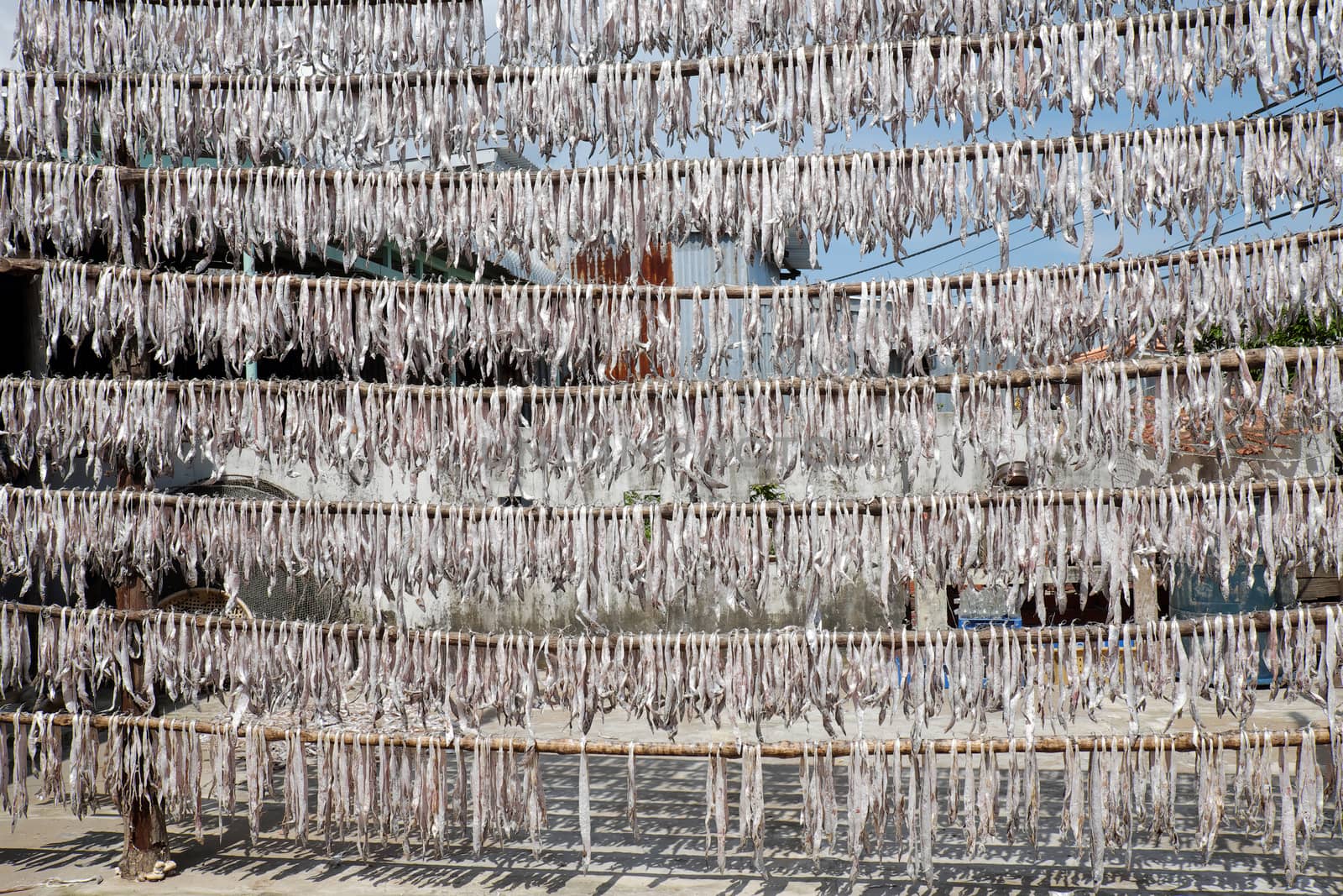 Seafood at Ca Mau fishing village, Mekong Delta, Vietnam. Dried fish is popular Vietnamese food, can store for long time