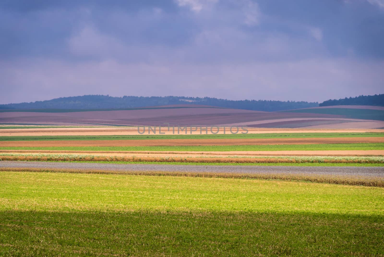 Colors in a field