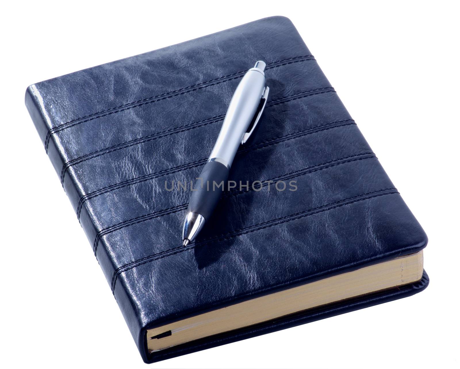 Leather Diary and Pen by zhekos