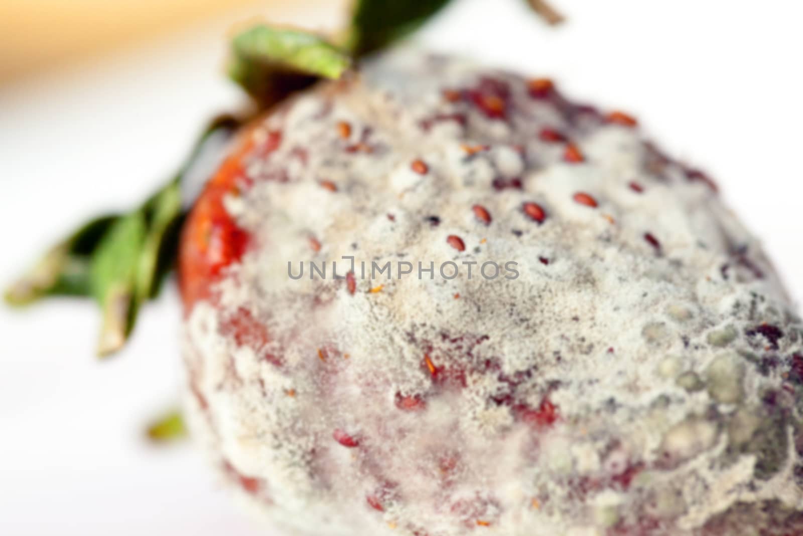 photographed red ripe strawberries, covered with white mold, spoiled strawberries closeup, defocus