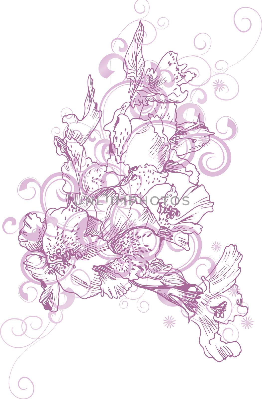 pink hand drawn flowers and decorative curves by CherJu