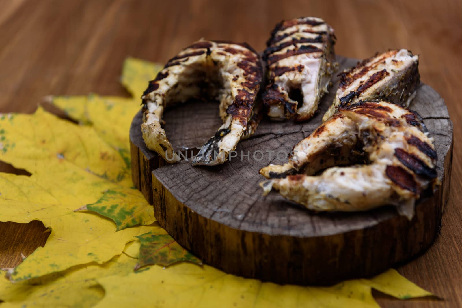 fish steaks fried on the grill lying on tree trunk against the yellow maple leaves