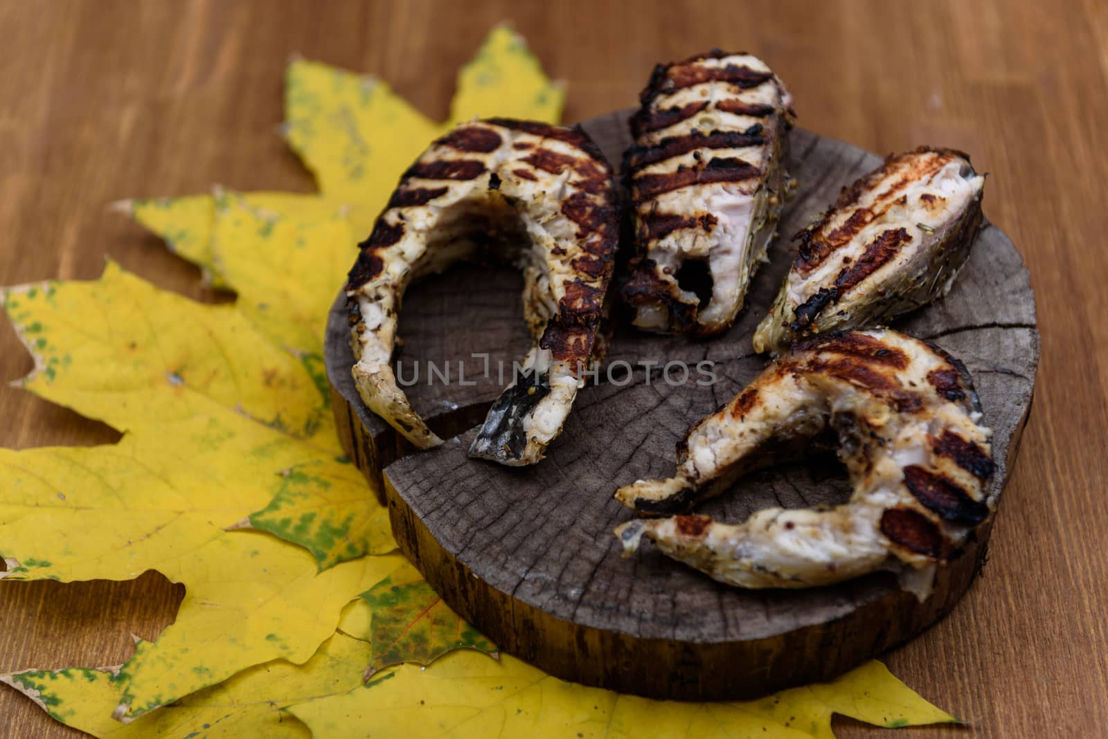 fish steaks fried on the grill lying on tree trunk against the yellow maple leaves