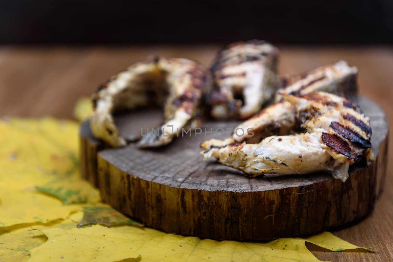 fish steaks fried on the grill lying on tree trunk against the yellow maple leaves