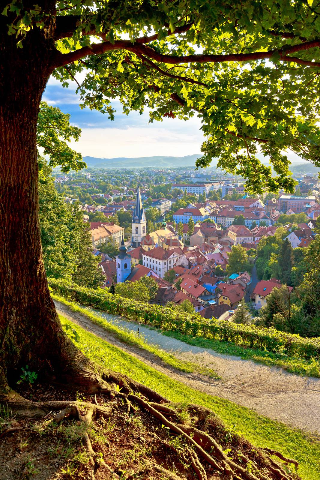 Green capital of Europe 2016 Ljubljana aerial vertical view with tree, Slovenia