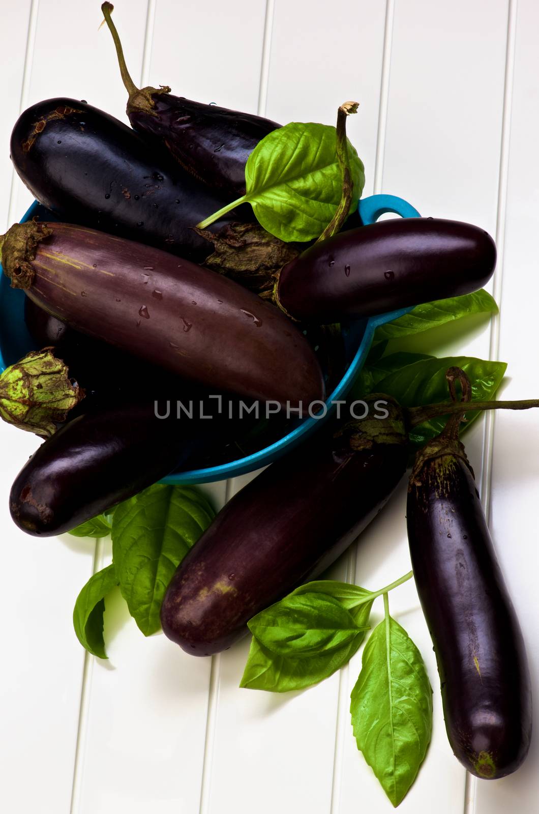 Arrangement of Fresh Raw Small Eggplants with Basil Leafs in Blue Colander closeup on White Plank background