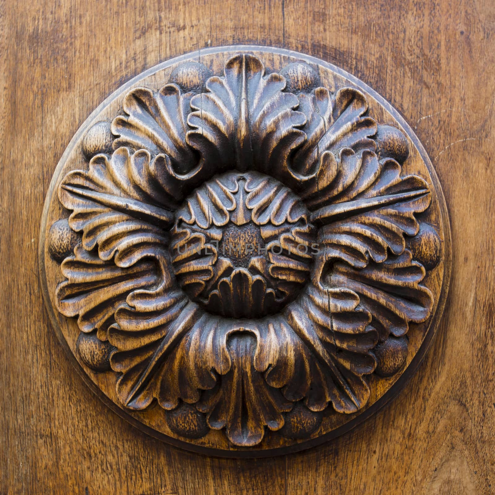 Close up view of a detail of an old door of wood