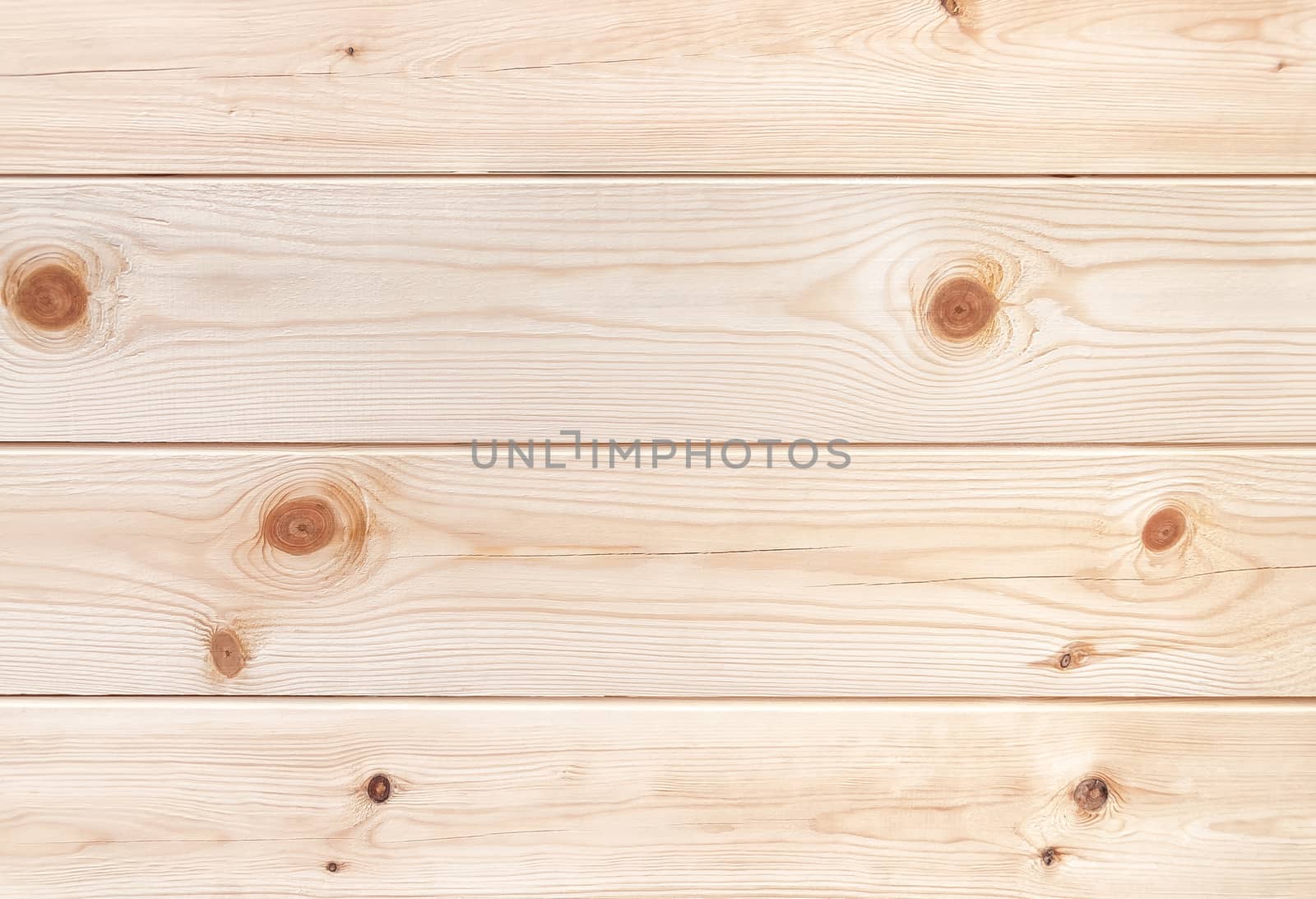 Natural pine tree planks. Texture of wood.