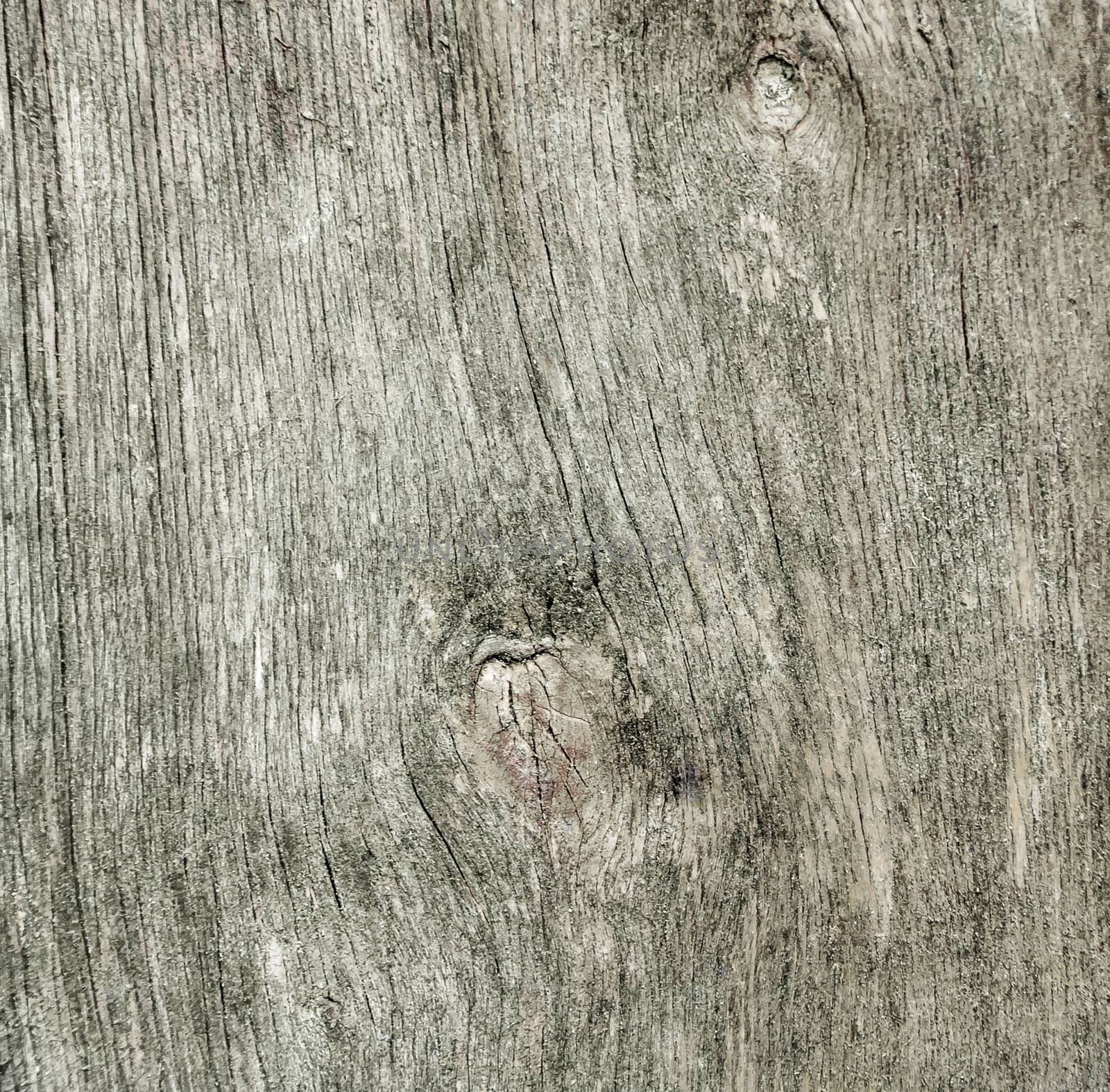Old wood texture. Abstract background . old wall