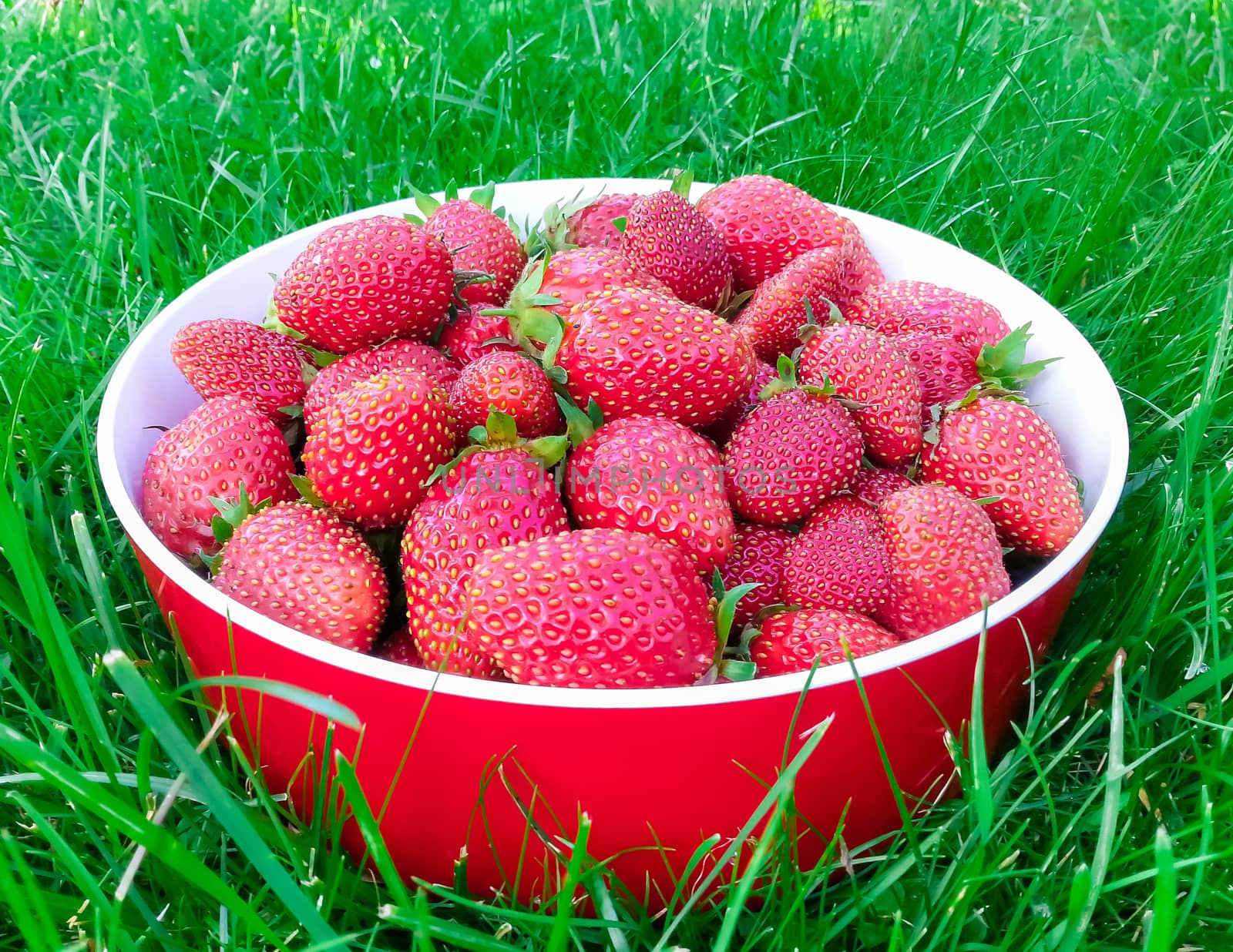 Strawberries on plate by zeffss