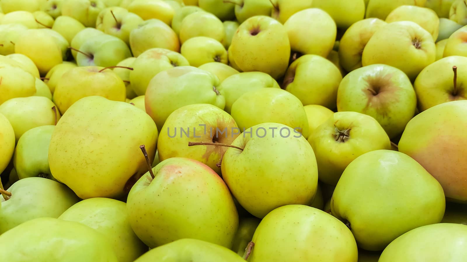 Green Apple Background, shallow depth of field.