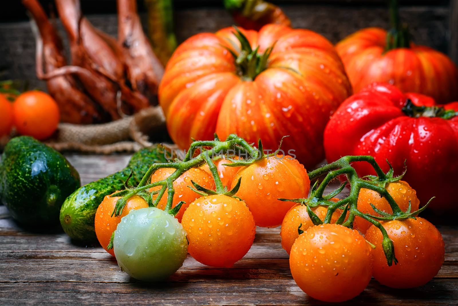 Harvest of summer yellow tomatoes on wooden background