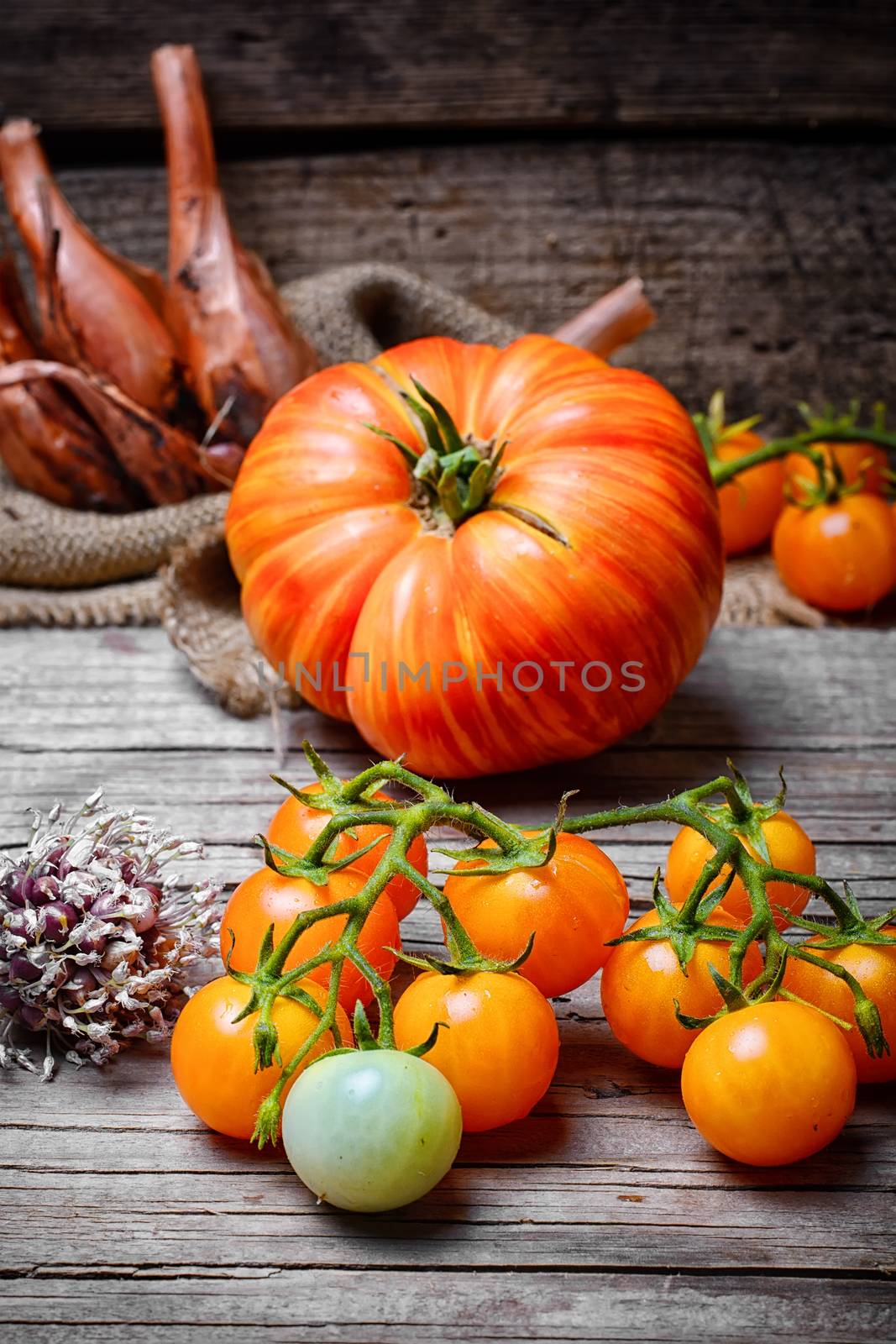 Harvest of summer yellow tomatoes on wooden background