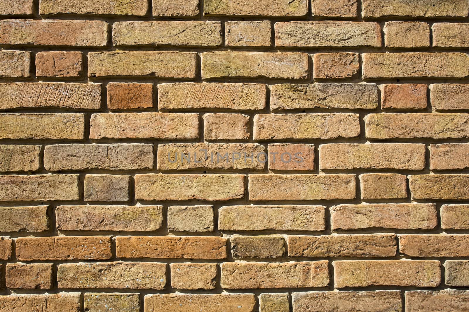 View of a detail of an ancient wall of bricks