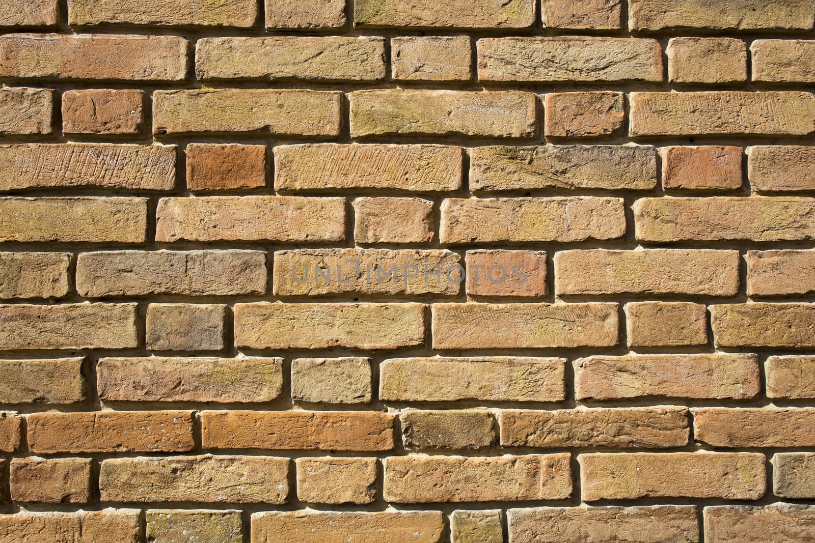 View of a detail of an ancient wall of bricks