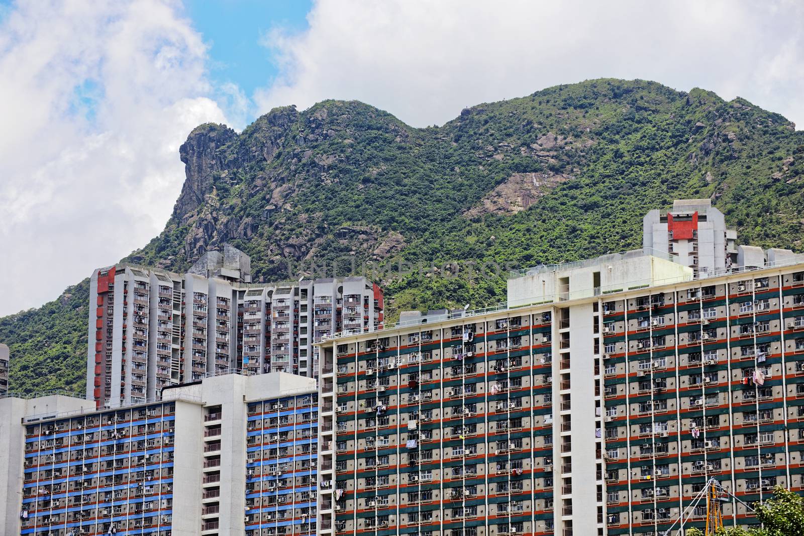 hong kong public estate with landmark lion rock