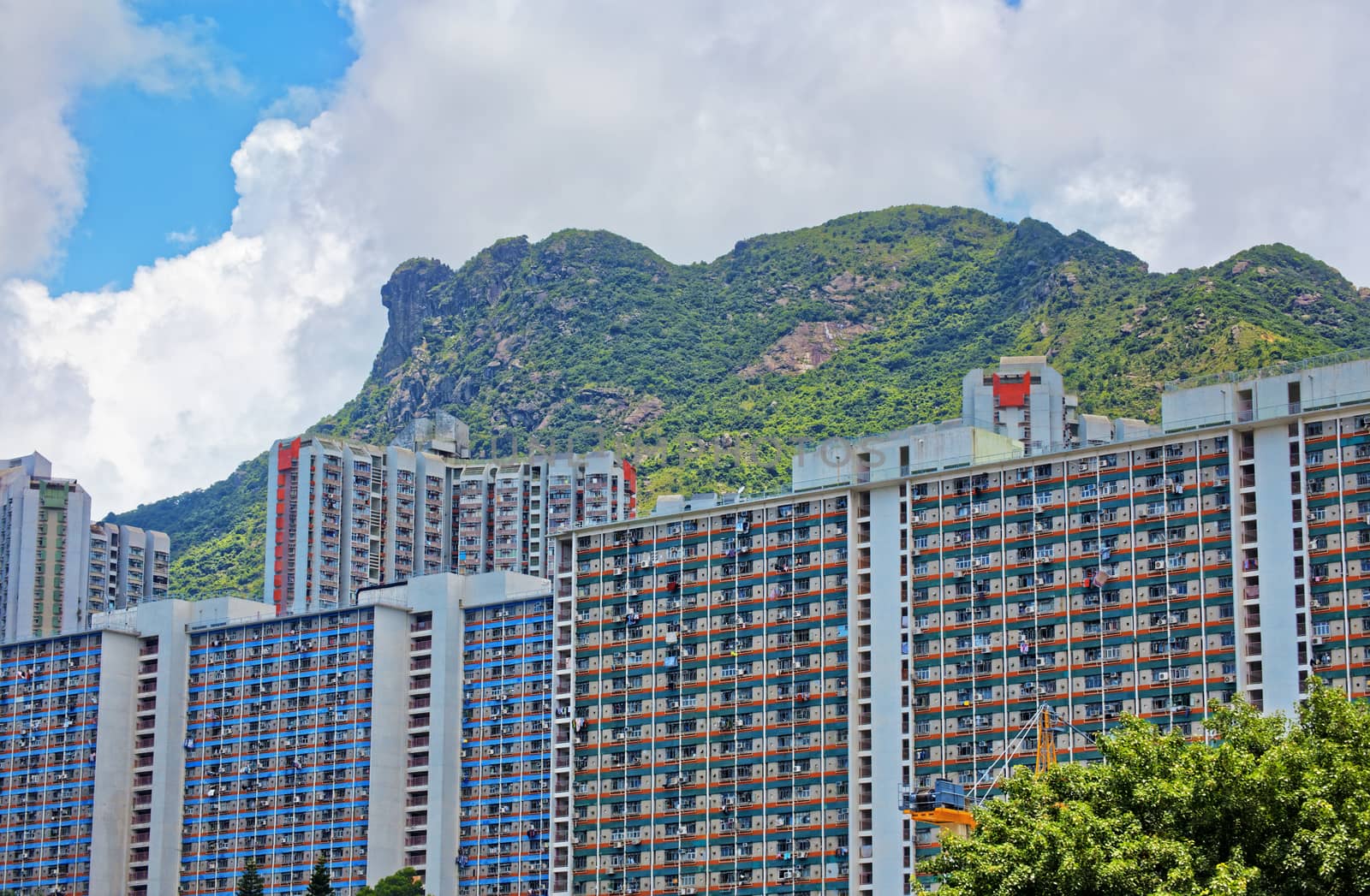 hong kong public estate with landmark lion rock at day