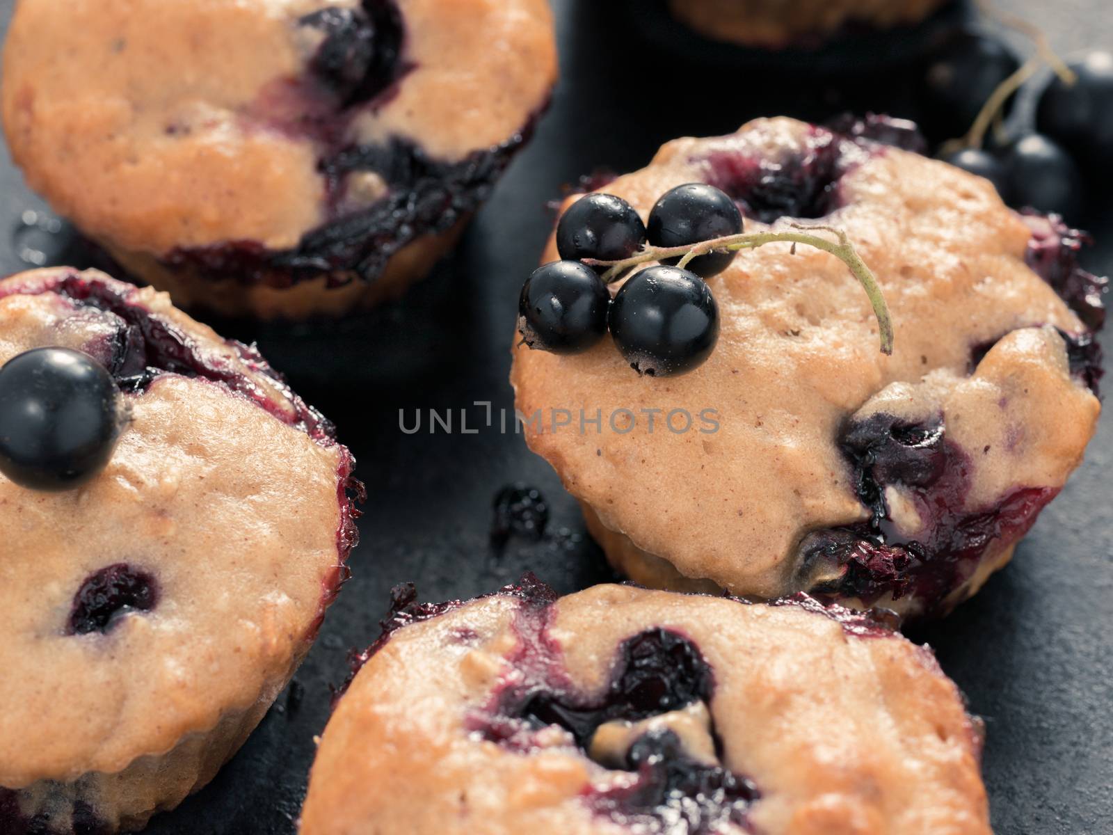 Muffins with black currant close up by fascinadora