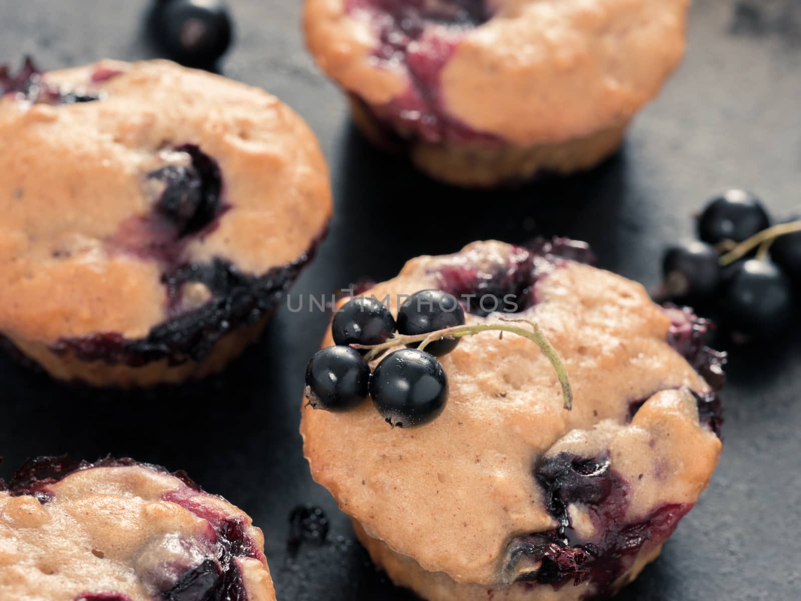 Muffins with black currant close up by fascinadora