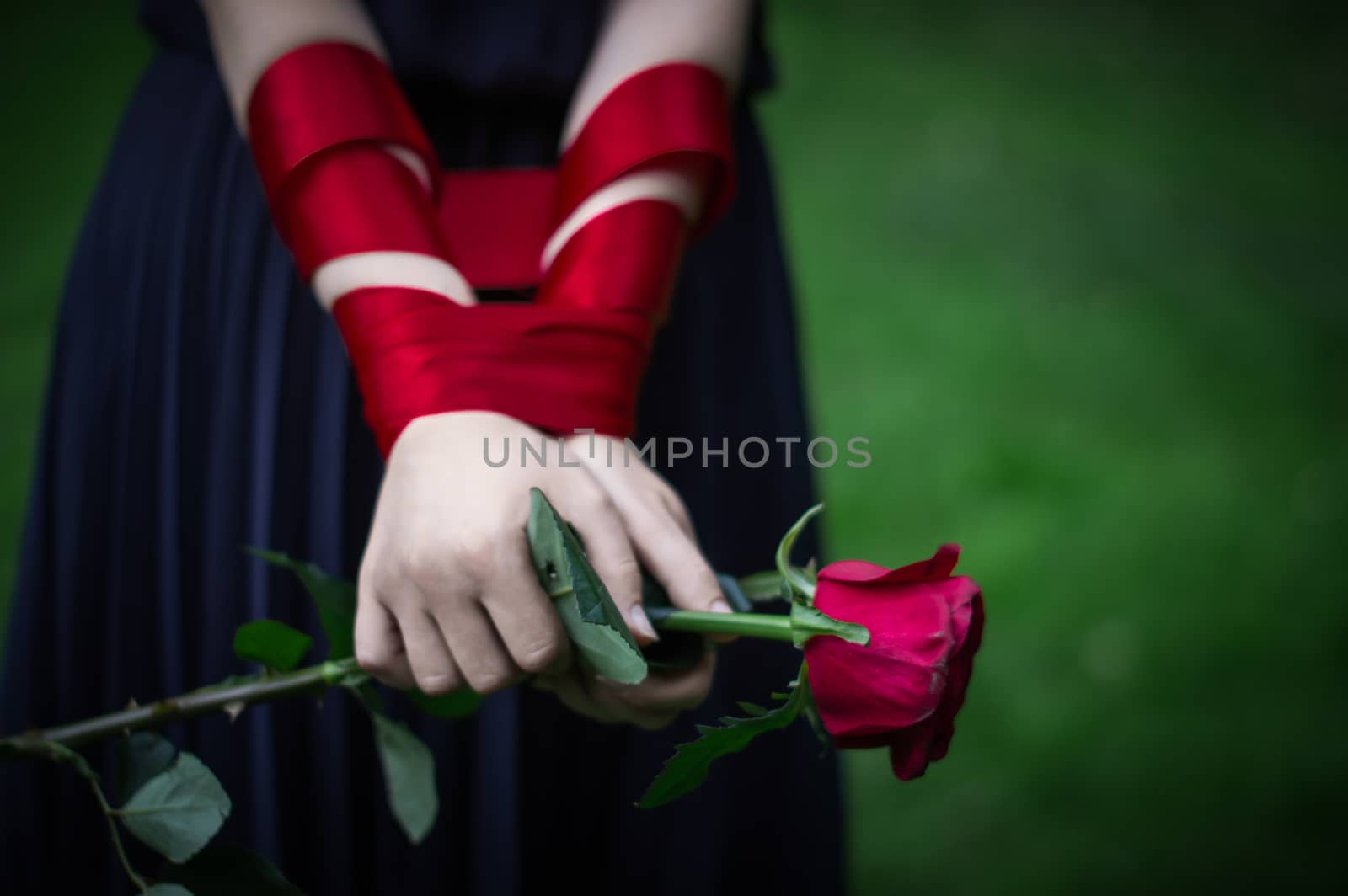 knitted female hands holding red rose in park