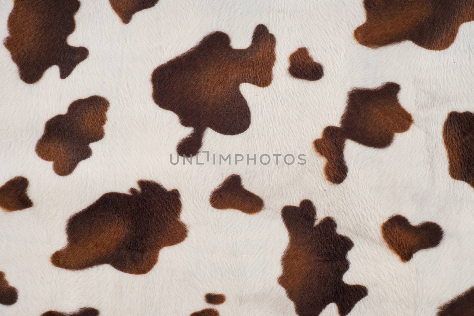 Cow skin texture