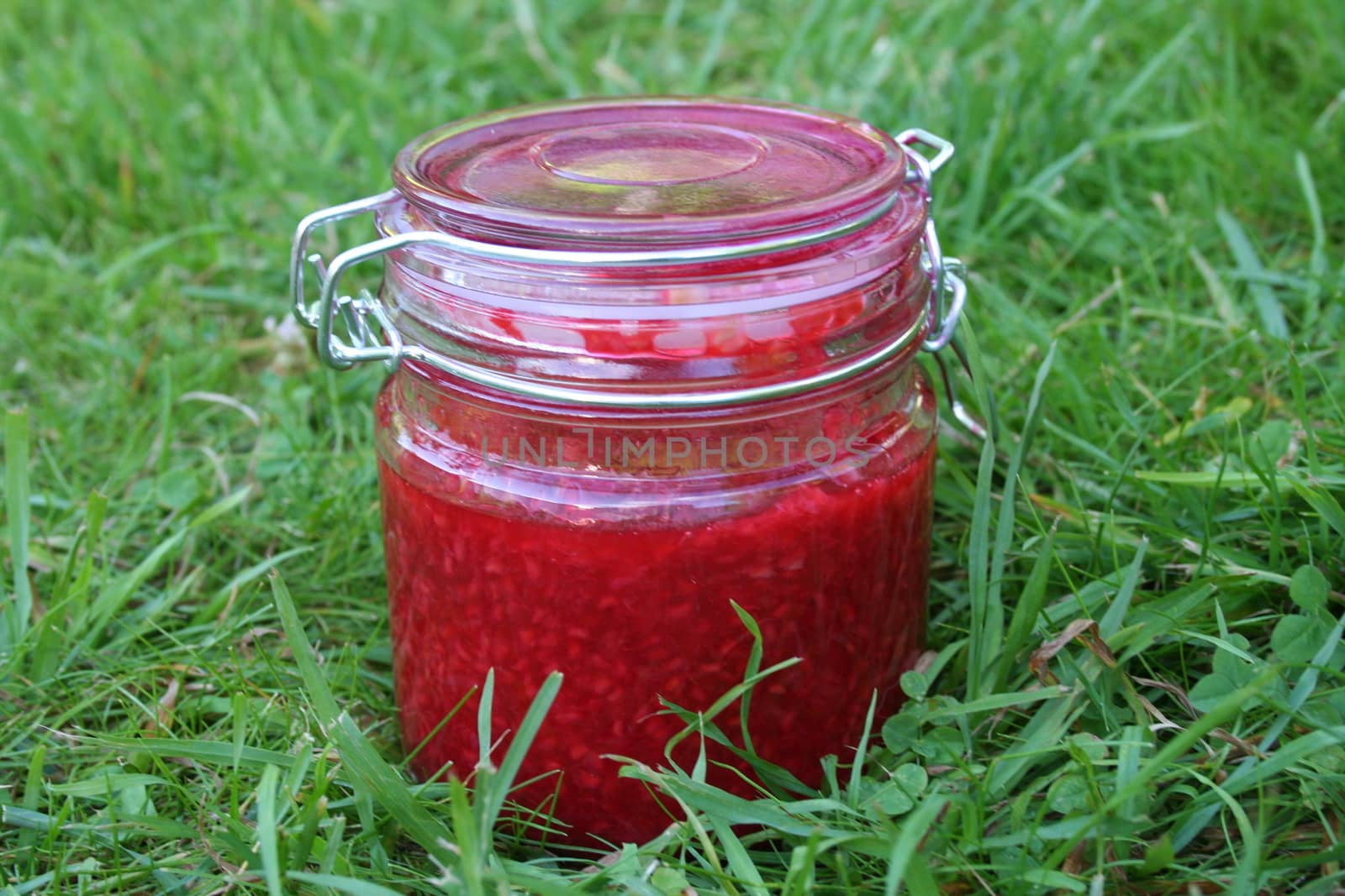 Raspberry jam