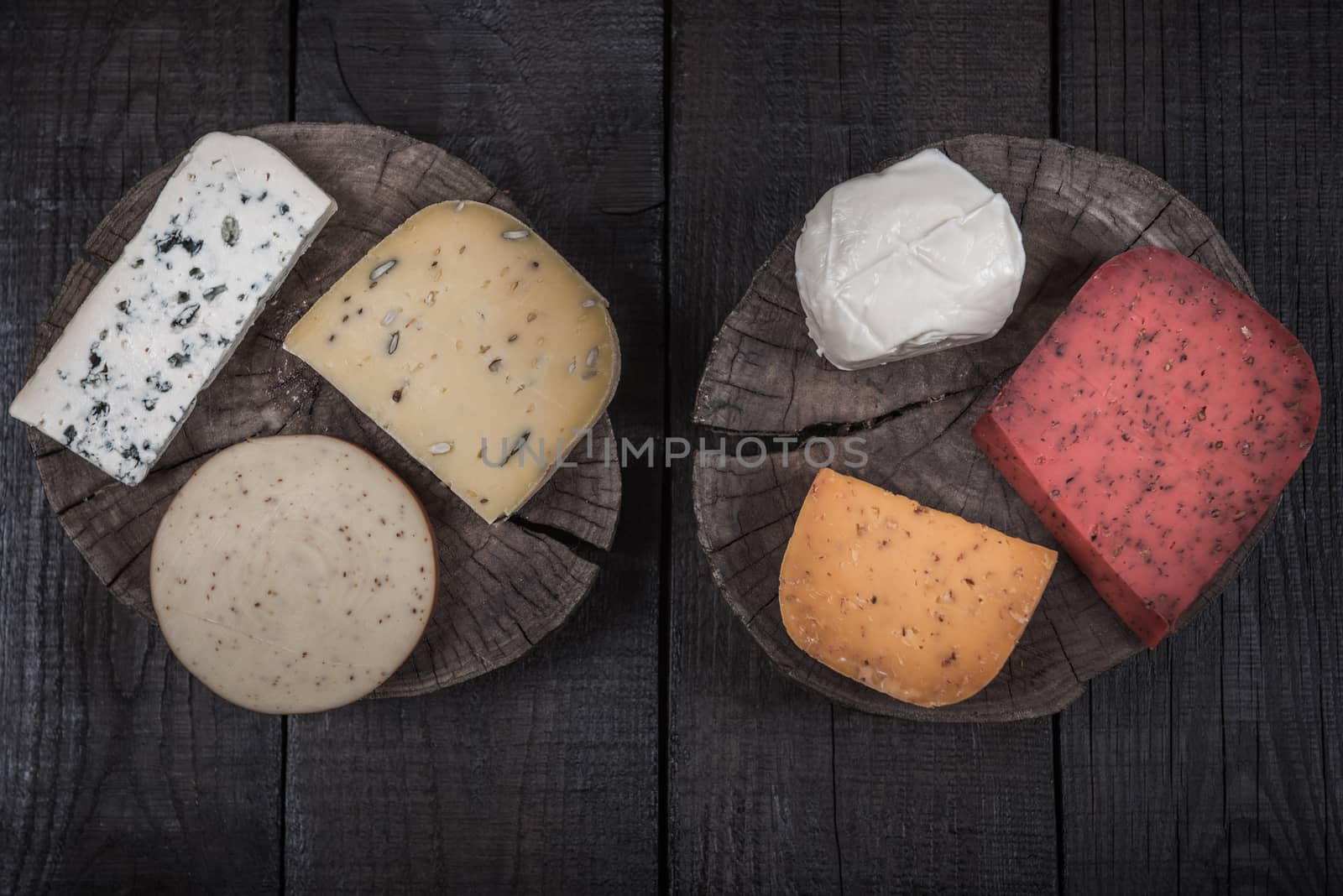 many kinds of cheeses on wooden end of a tree