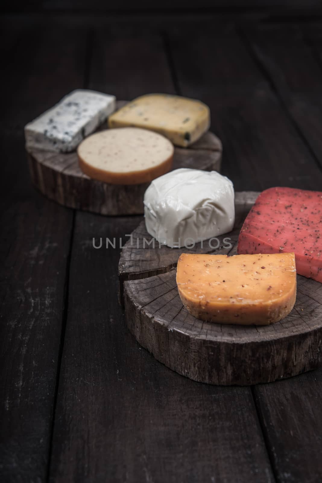 many kinds of cheeses on wooden end of a tree