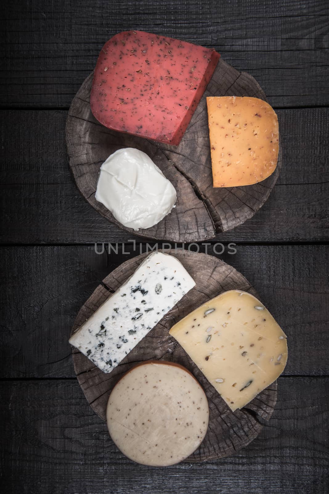 many kinds of cheeses on wooden end of a tree