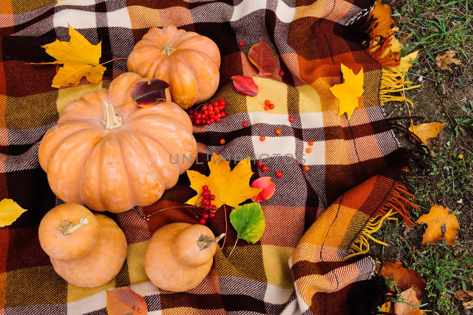 Romantic autumn still life with blanket, pumpkins and leaves, top view