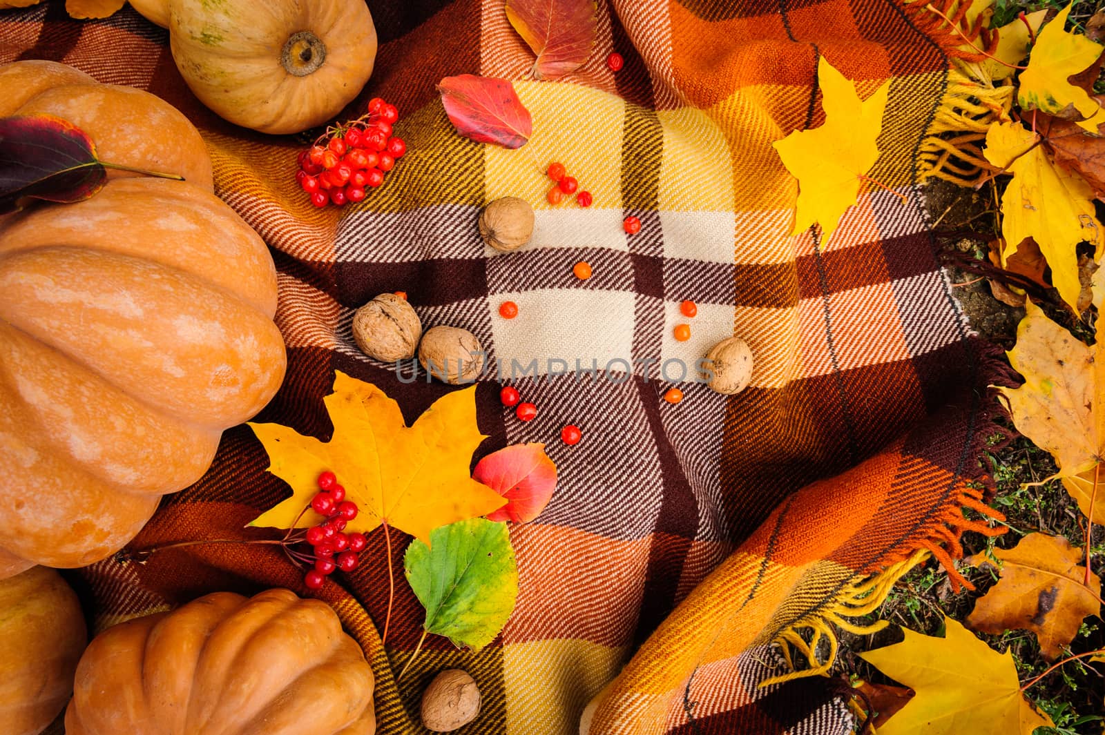 Romantic autumn still life with blanket, pumpkins, nuts and leaves, top view