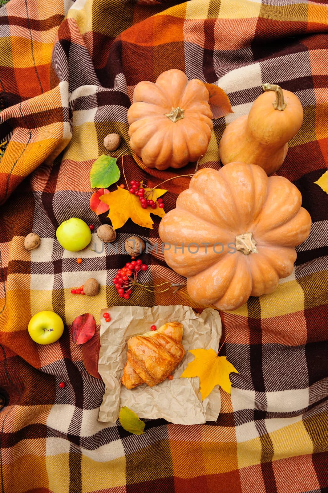 Romantic autumn still life by starush