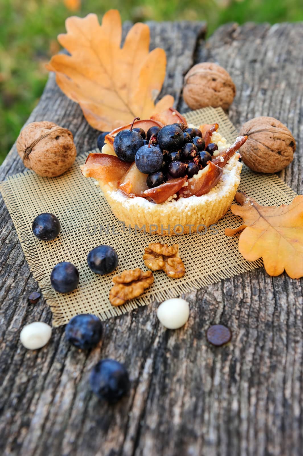 Romantic autumn still life with basket cake, walnuts, blackthorn berries and leaves, in cold colors