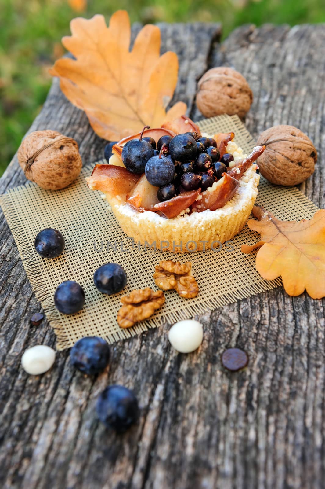 Romantic autumn still life by starush