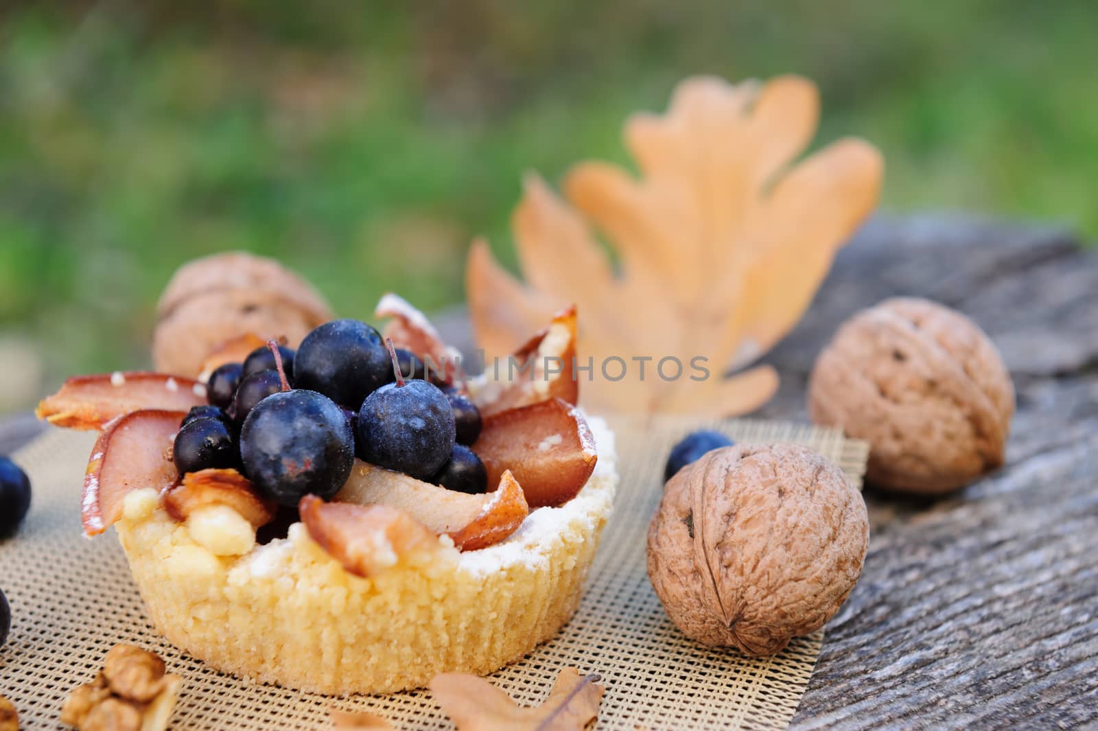 Romantic autumn still life with basket cake, walnuts, blackthorn berries and leaves, in cold colors