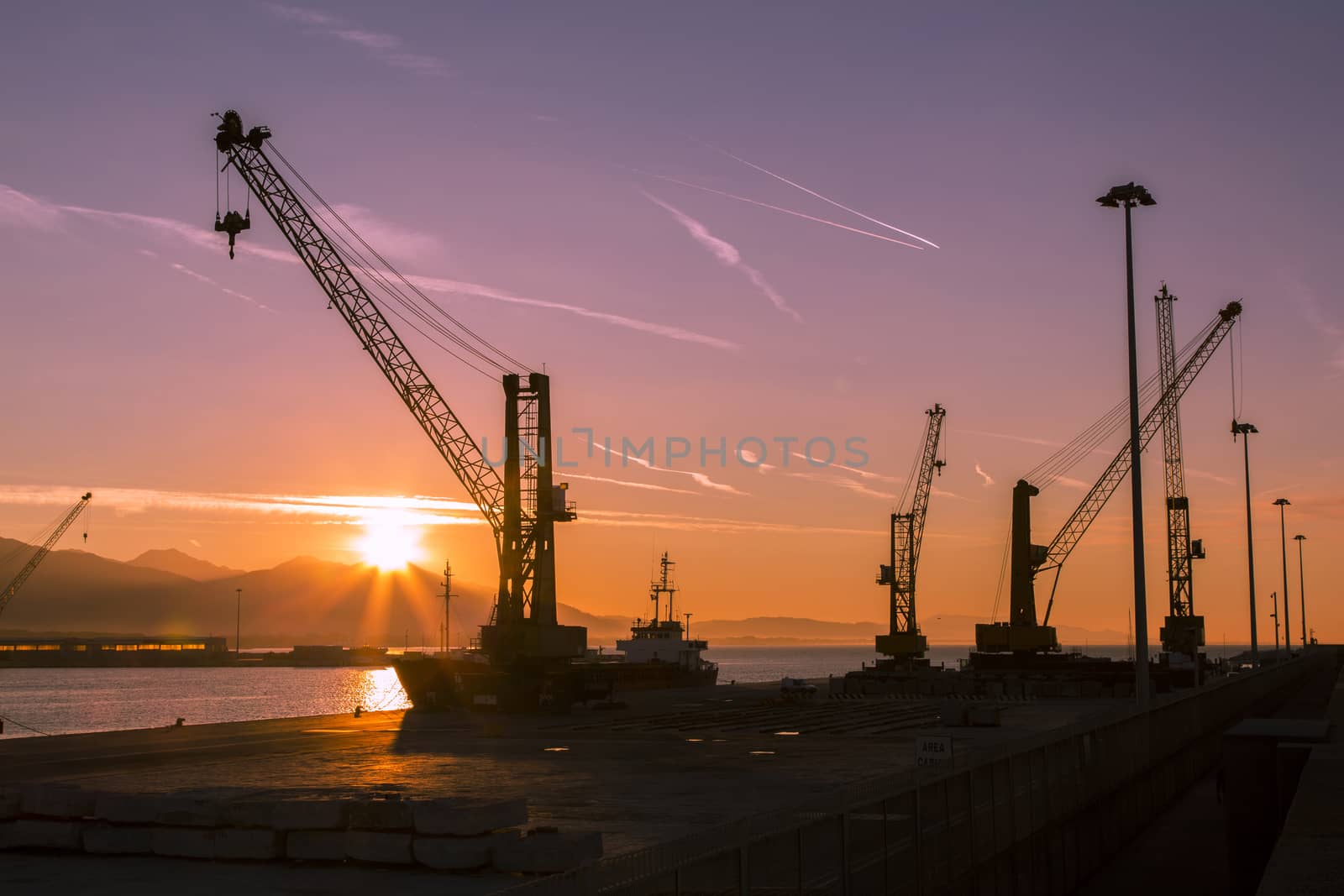 View of a cranes at the port to' dawn